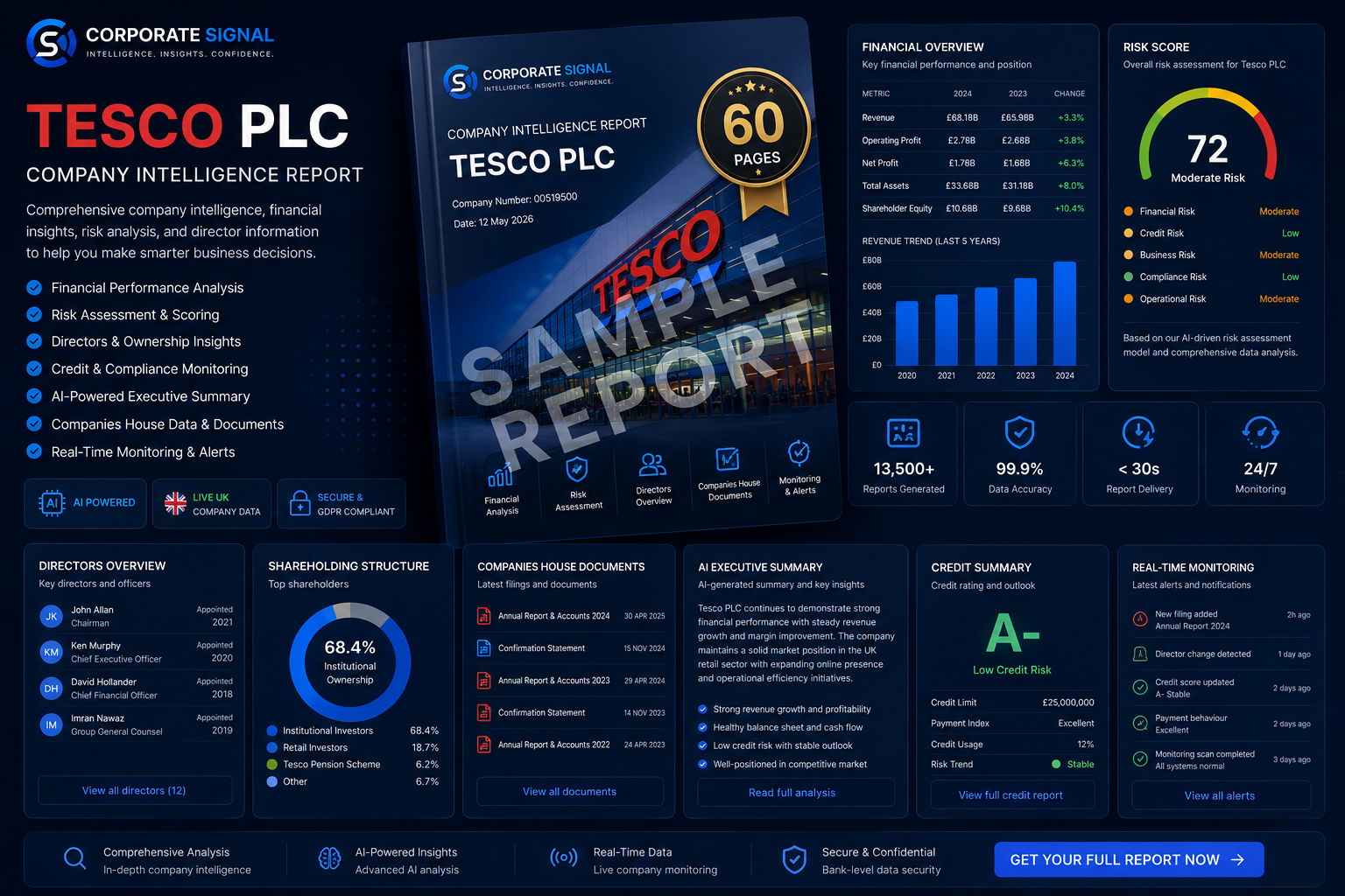 Tesco sample company intelligence report preview